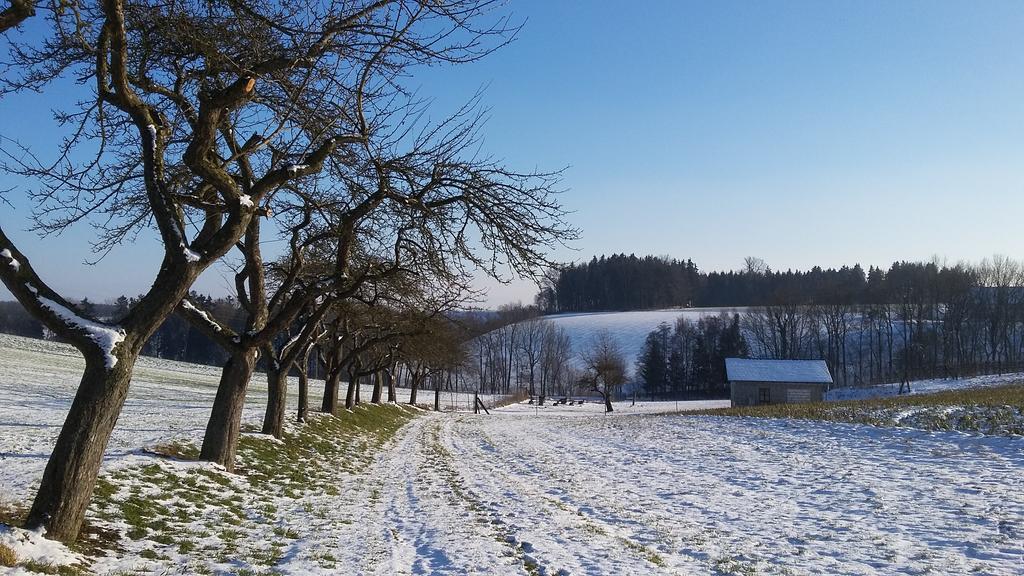 Hofkirchen im Traunkreis Pension Weinbauer מראה חיצוני תמונה